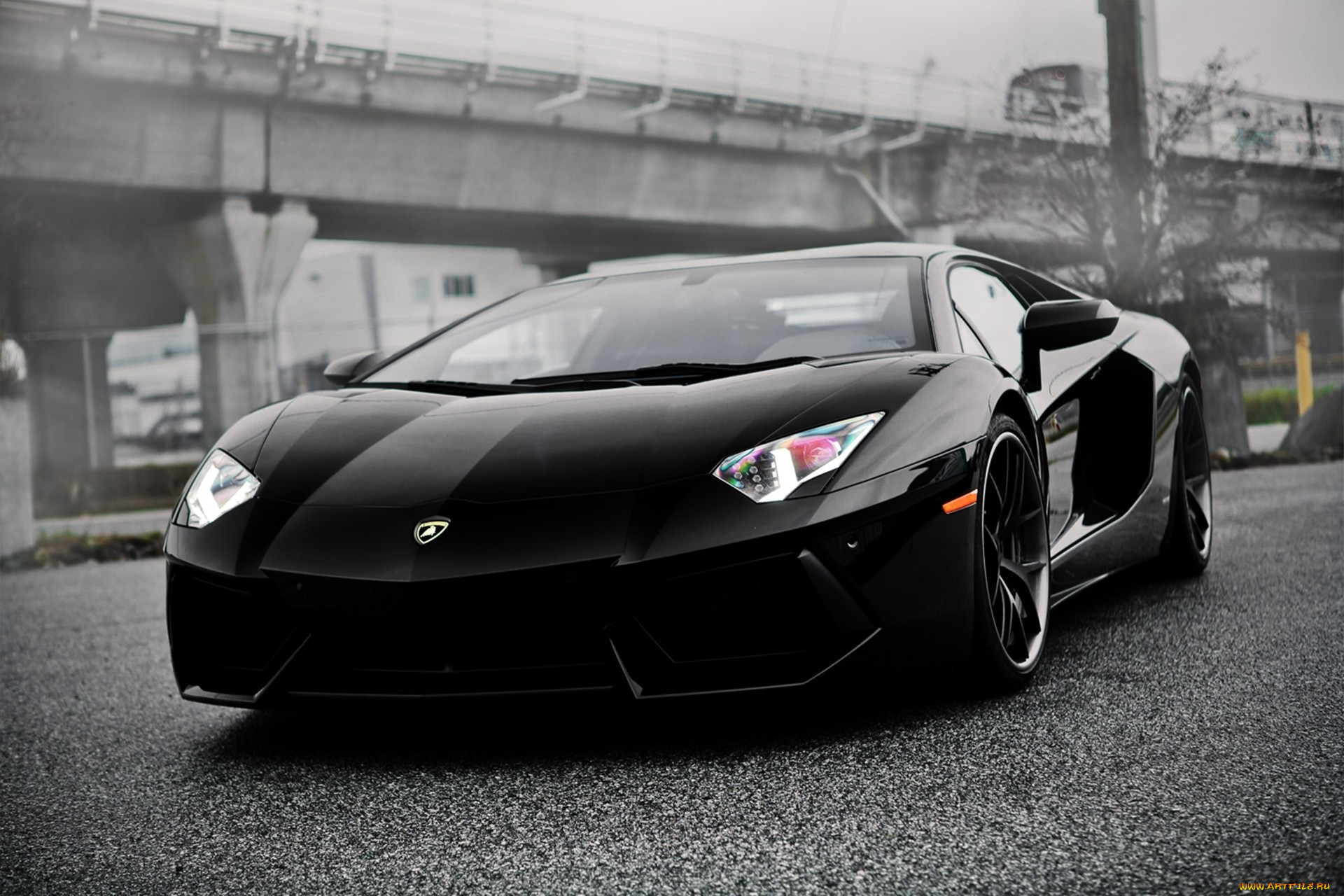 , lamborghini, lambo
